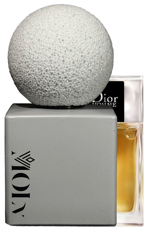 Dior Homme (27)