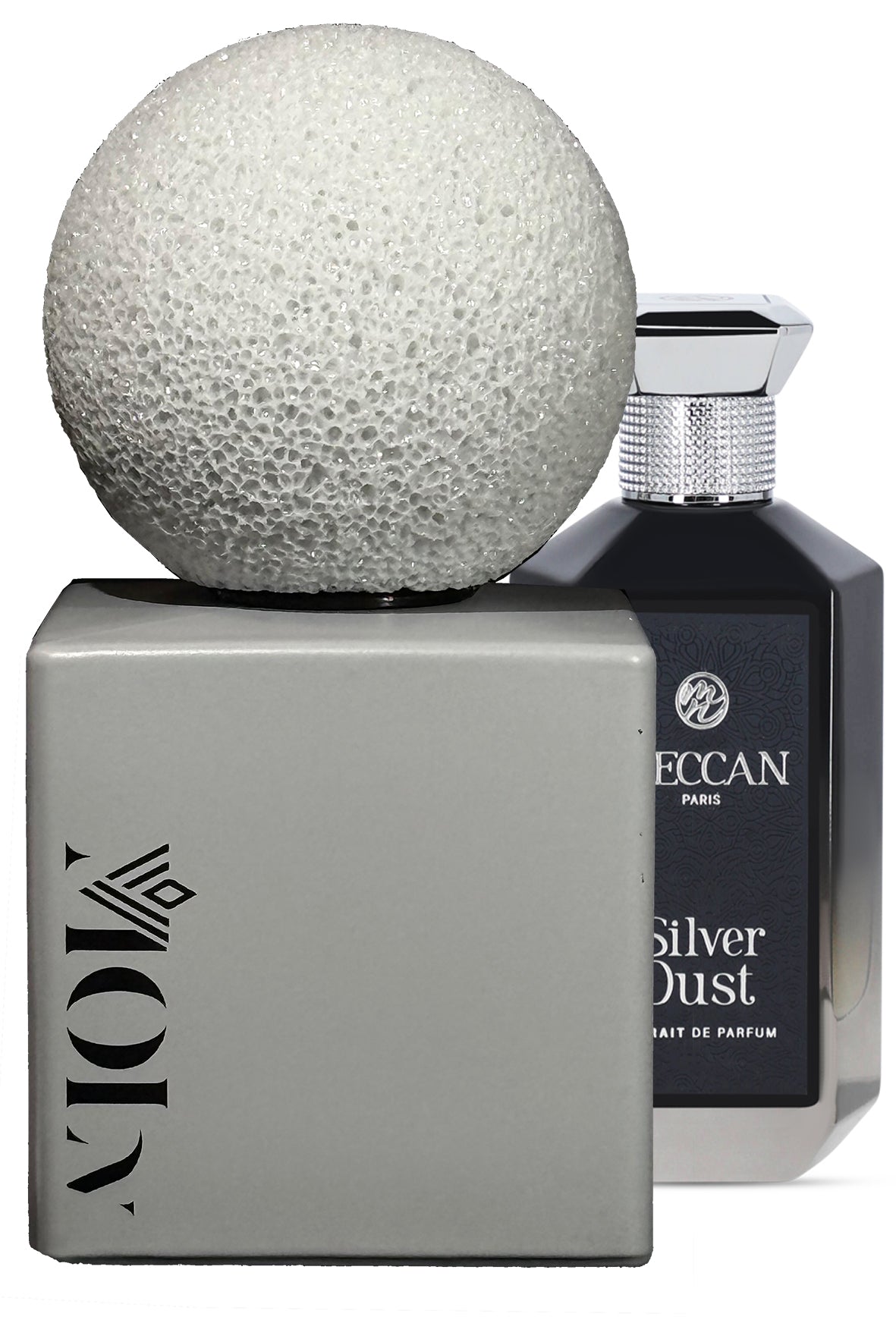 Silver Dust غبار الفضة  (166)
